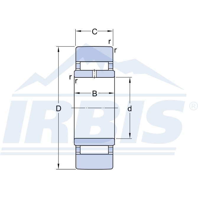 STO 12 X (SKF) Подшипник игольчатый радиальный