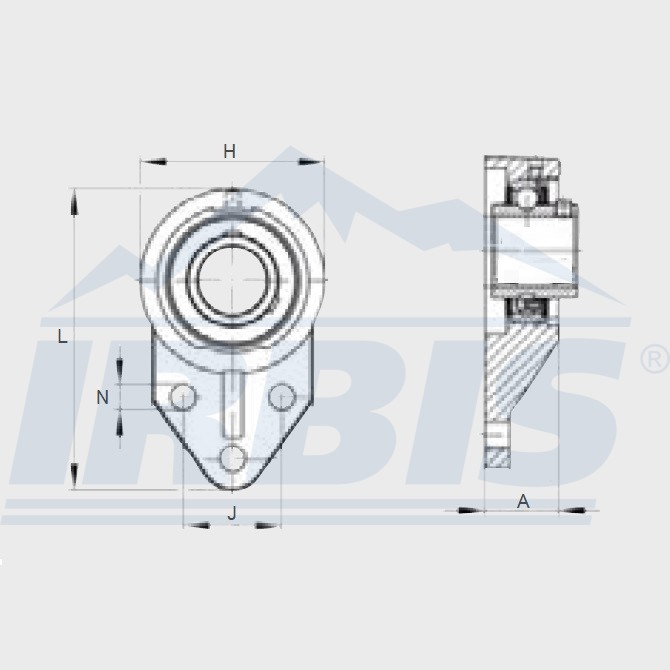 FB 207