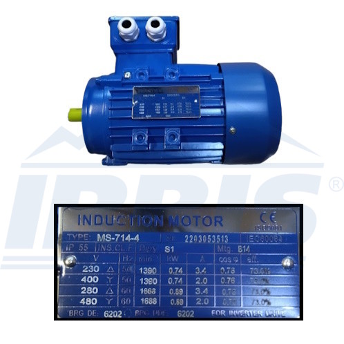 image-1