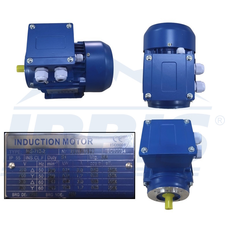 image-1