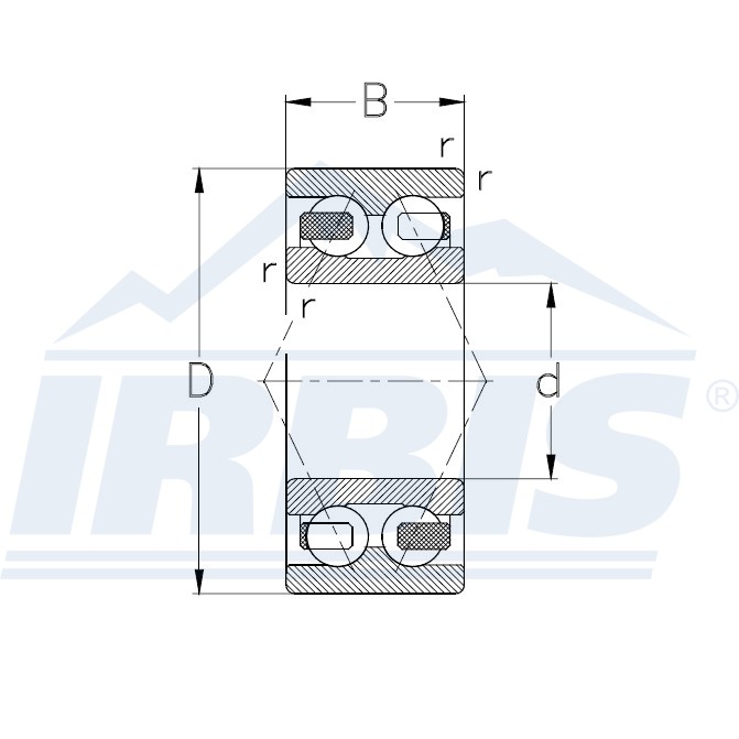 3303 B 2RS TV