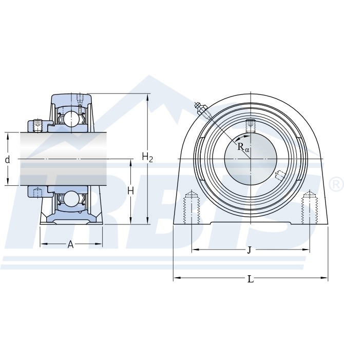 SYF 50 WM