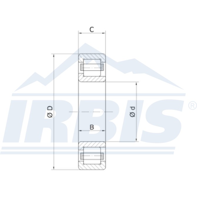 F19008(FAG-566616B)